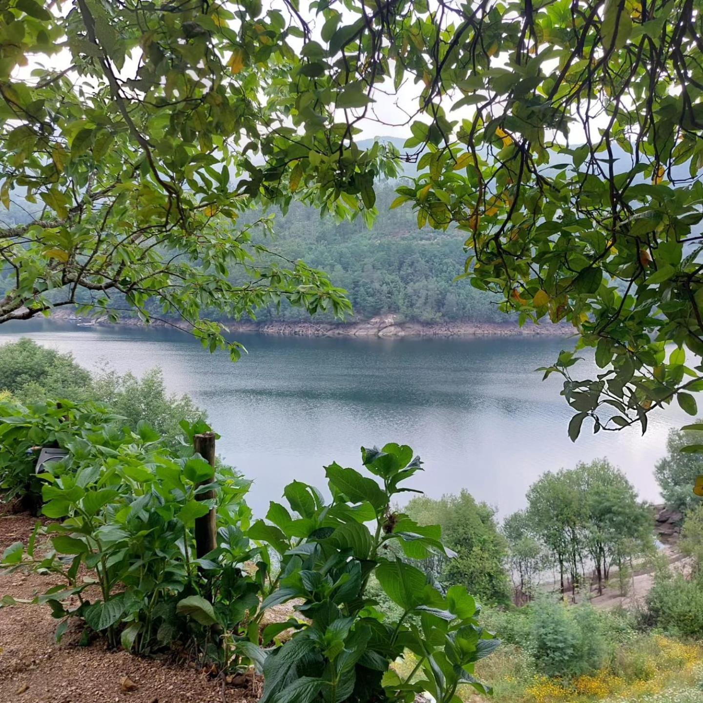 Casa Do Penedo - Quinta De Fundevilla Geres Εξωτερικό φωτογραφία