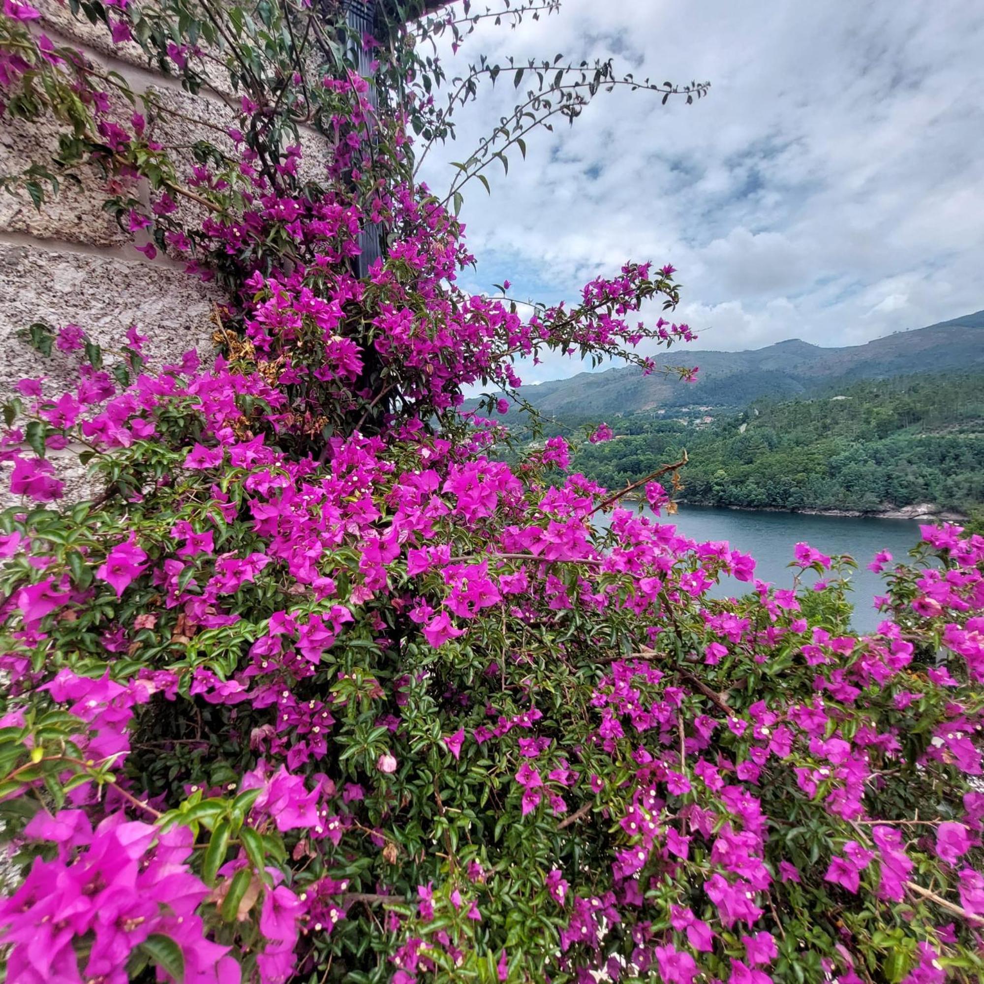 Casa Do Penedo - Quinta De Fundevilla Geres Εξωτερικό φωτογραφία